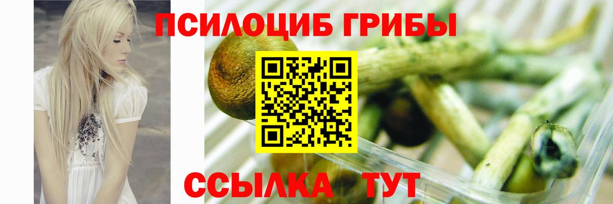 Протвино  Галлюциногенные грибы мухоморы  Вход с VPN  даркнет сайт  Галлюциногенные грибы прущие грибы 